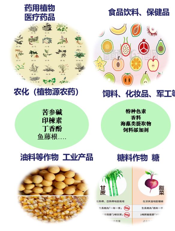 图片 2.jpg