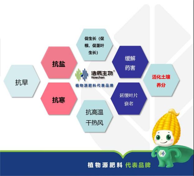 图片 8.jpg