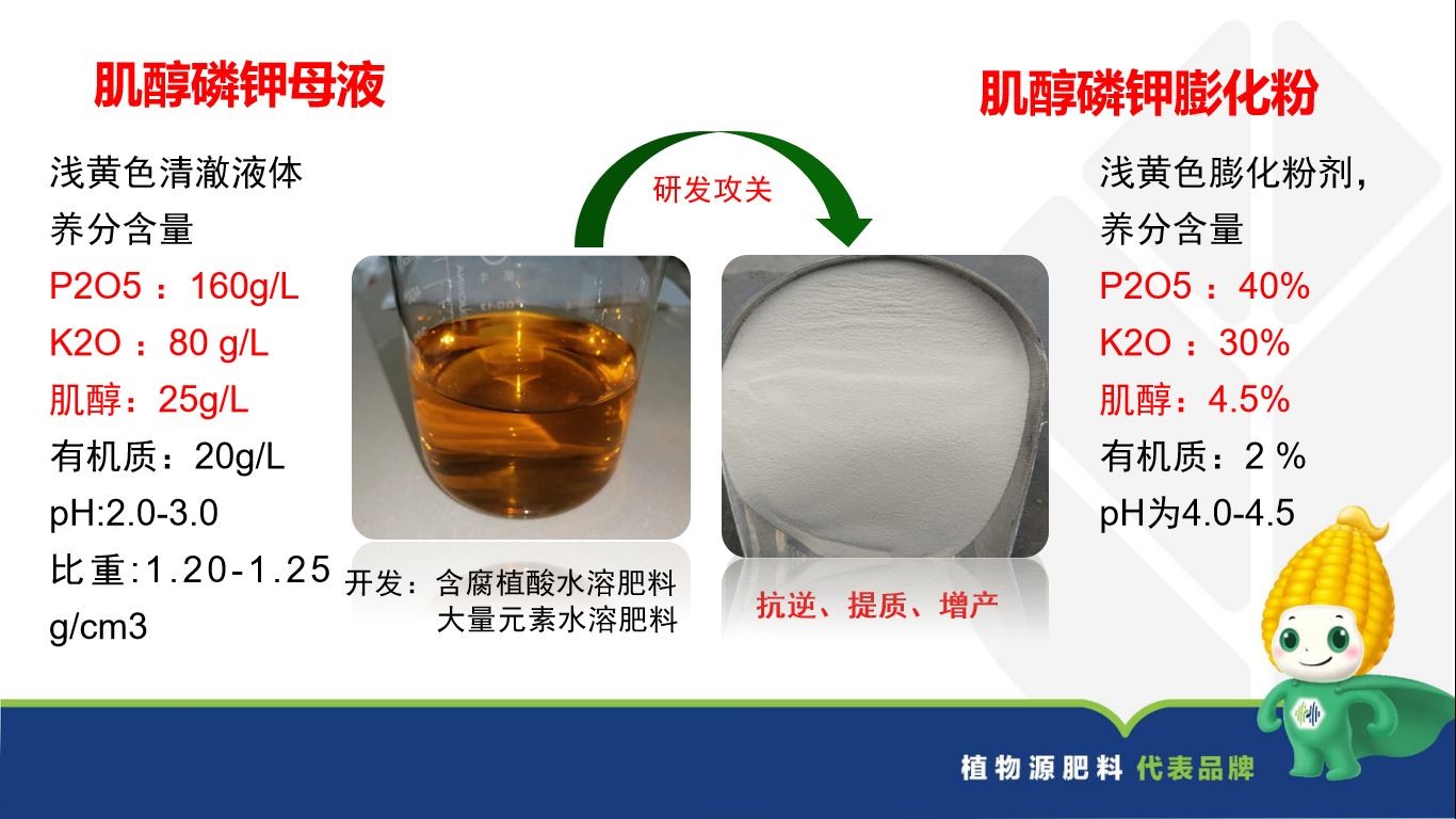 图片 10.jpg