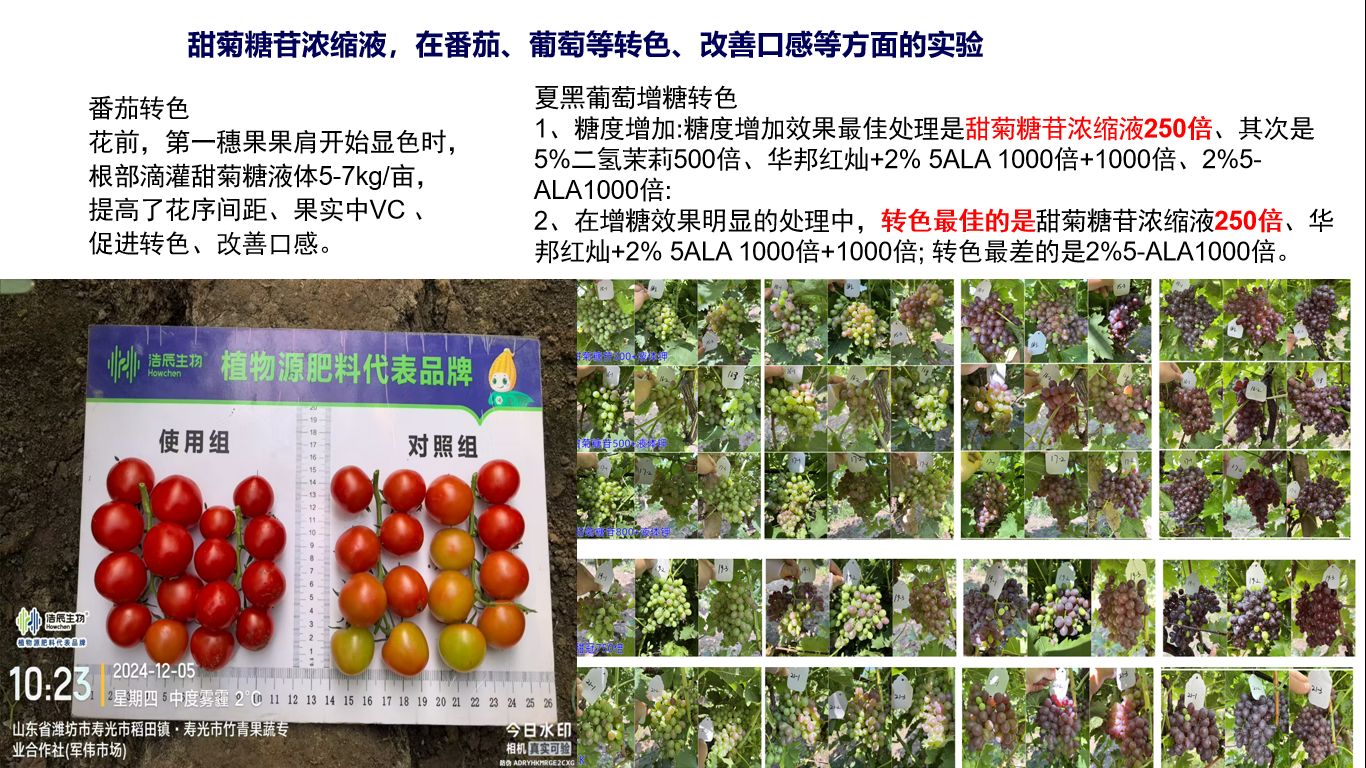 图片 13.jpg