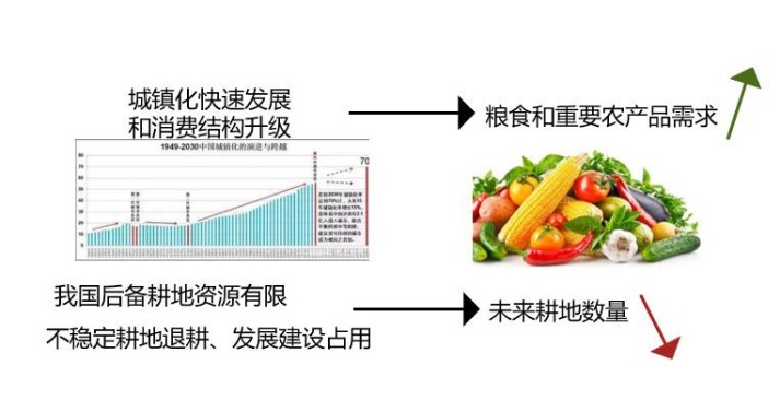 圖片 2.jpg