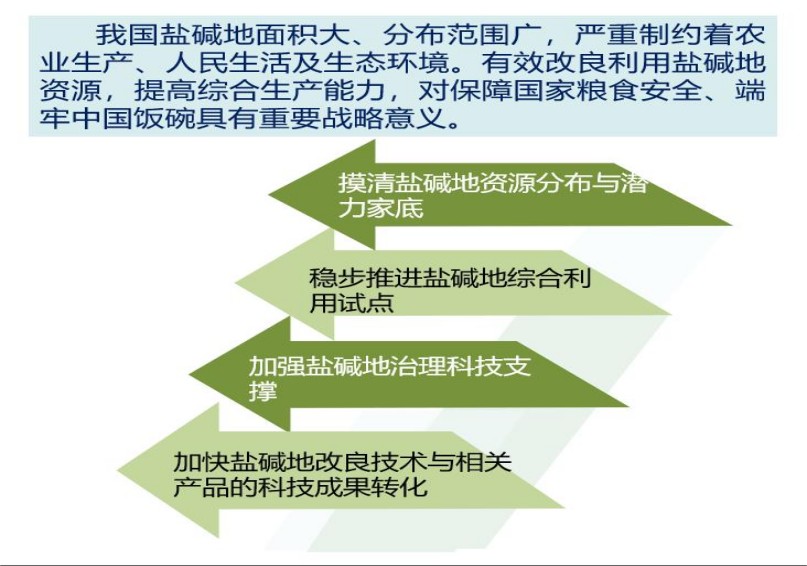圖片 11.jpg