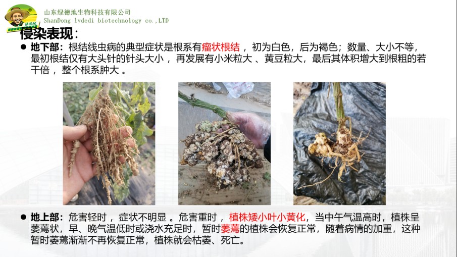 圖片 7.jpg
