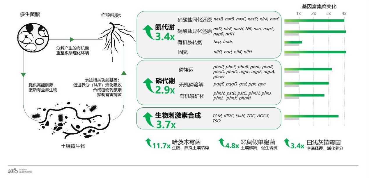 圖片 7.jpg