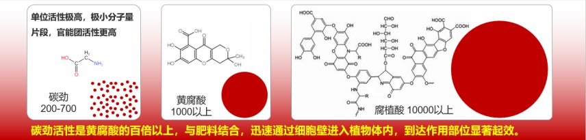 圖片 4.jpg