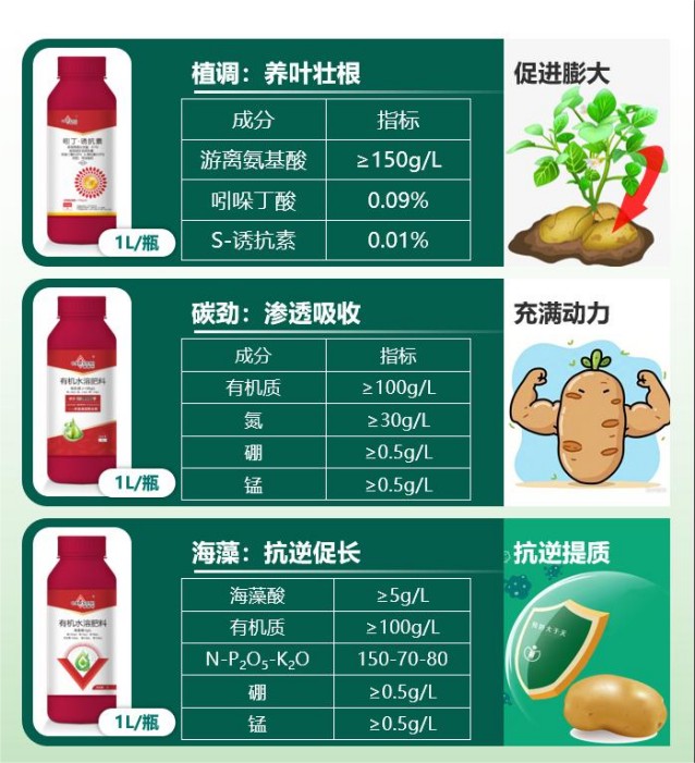 圖片 7.jpg