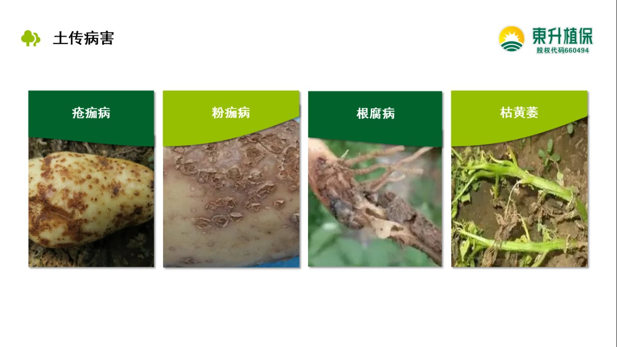 圖片 2.jpg
