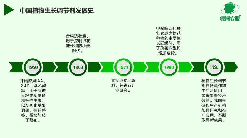 圖片 3(1).jpg