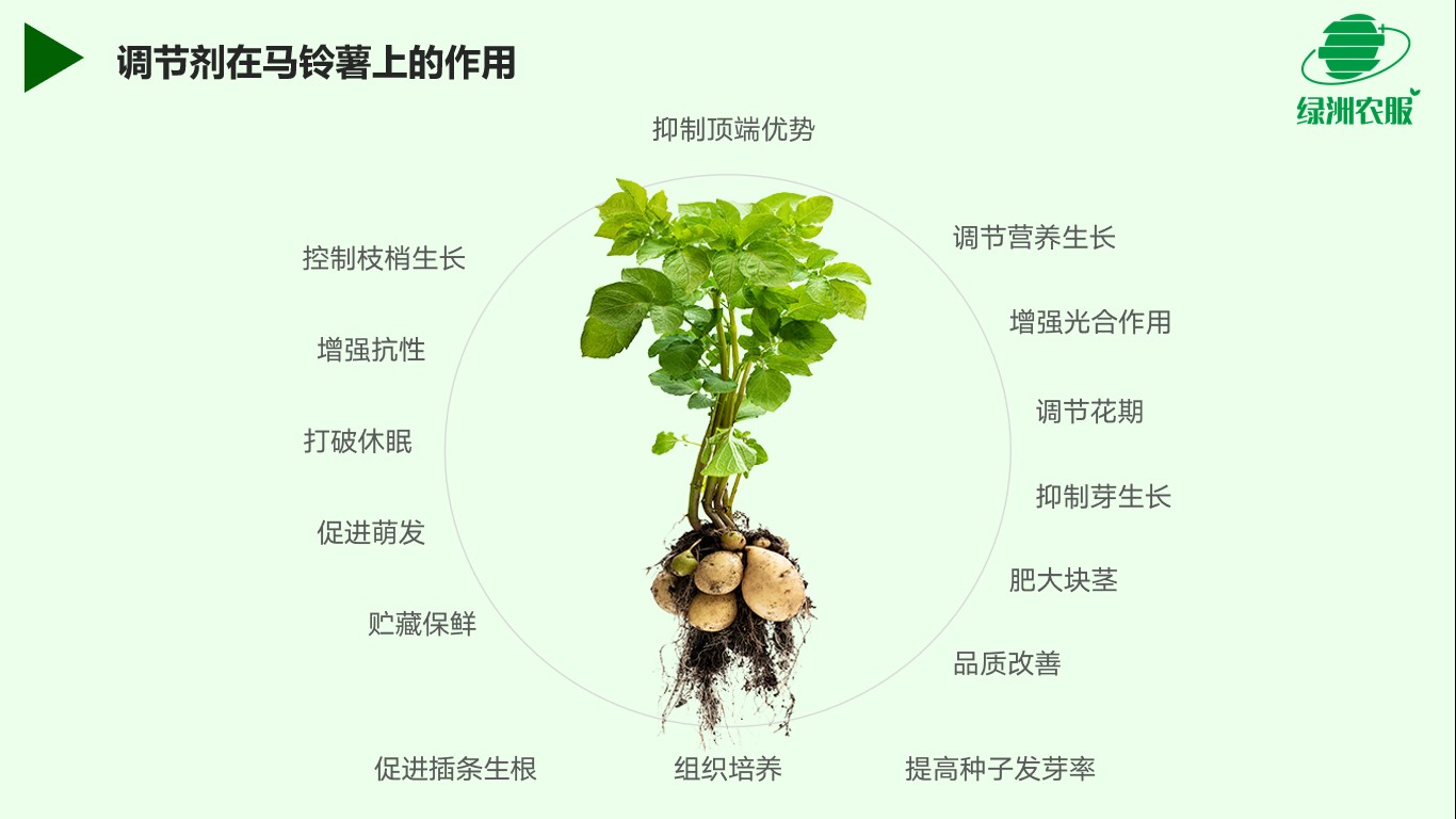 圖片 4(1).jpg