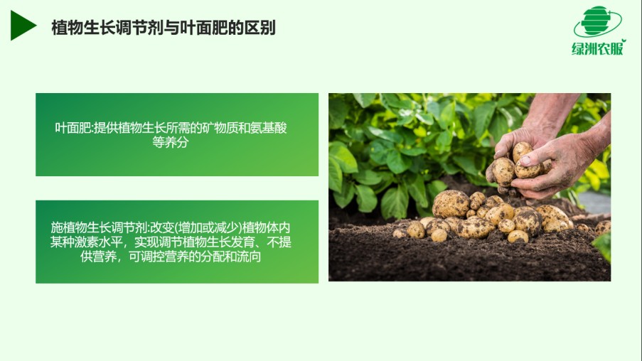 圖片 7.jpg