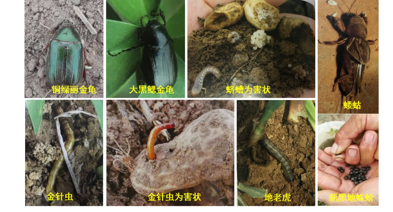圖片 3.jpg