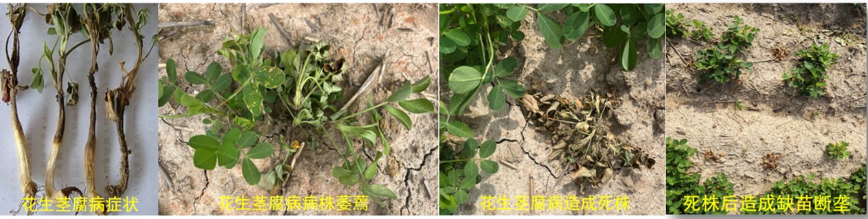 圖片 6.jpg