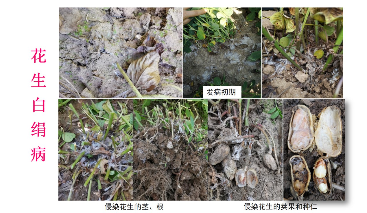 圖片 11.jpg