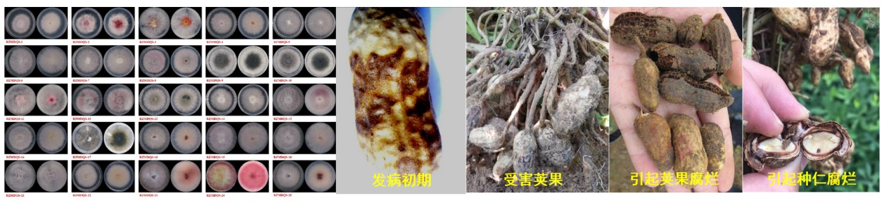 圖片 13.jpg