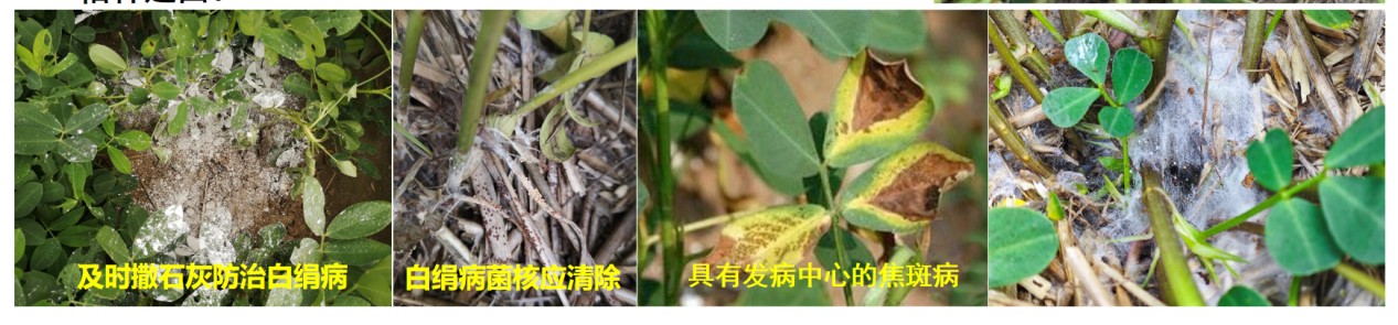 圖片 18.jpg