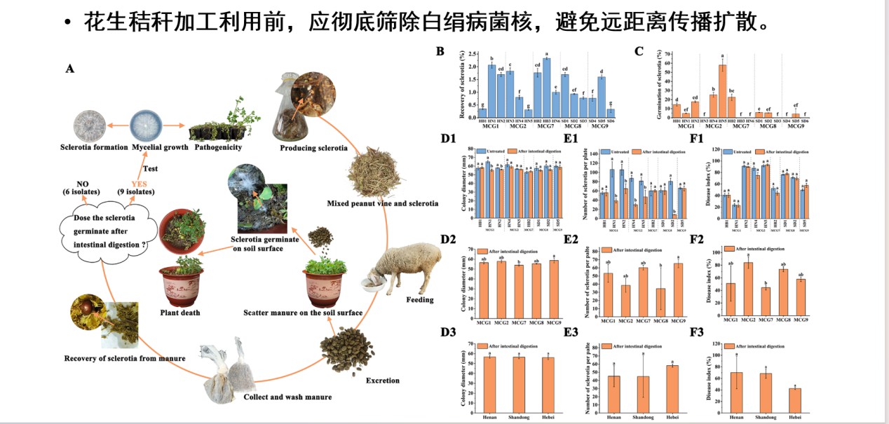 圖片 20.jpg