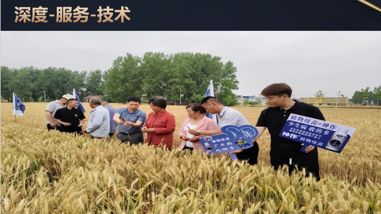 圖片 4.jpg