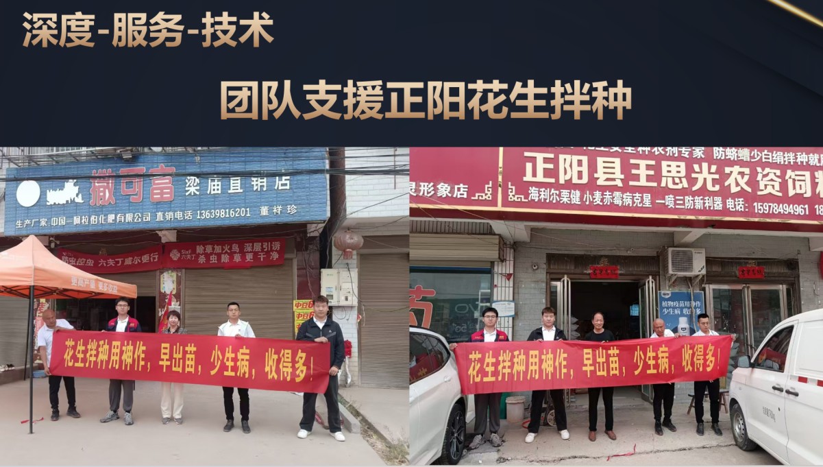 圖片 5.jpg
