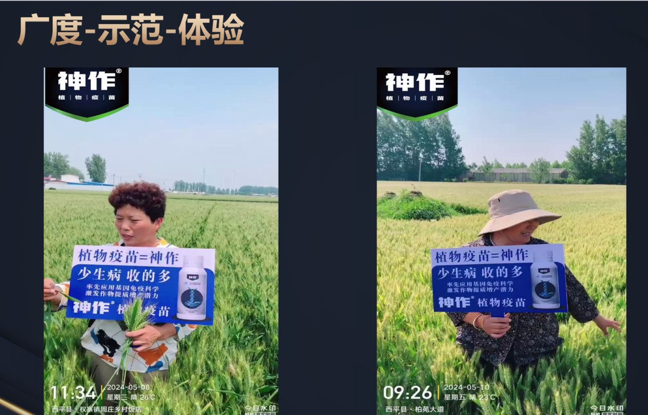 圖片 6.jpg