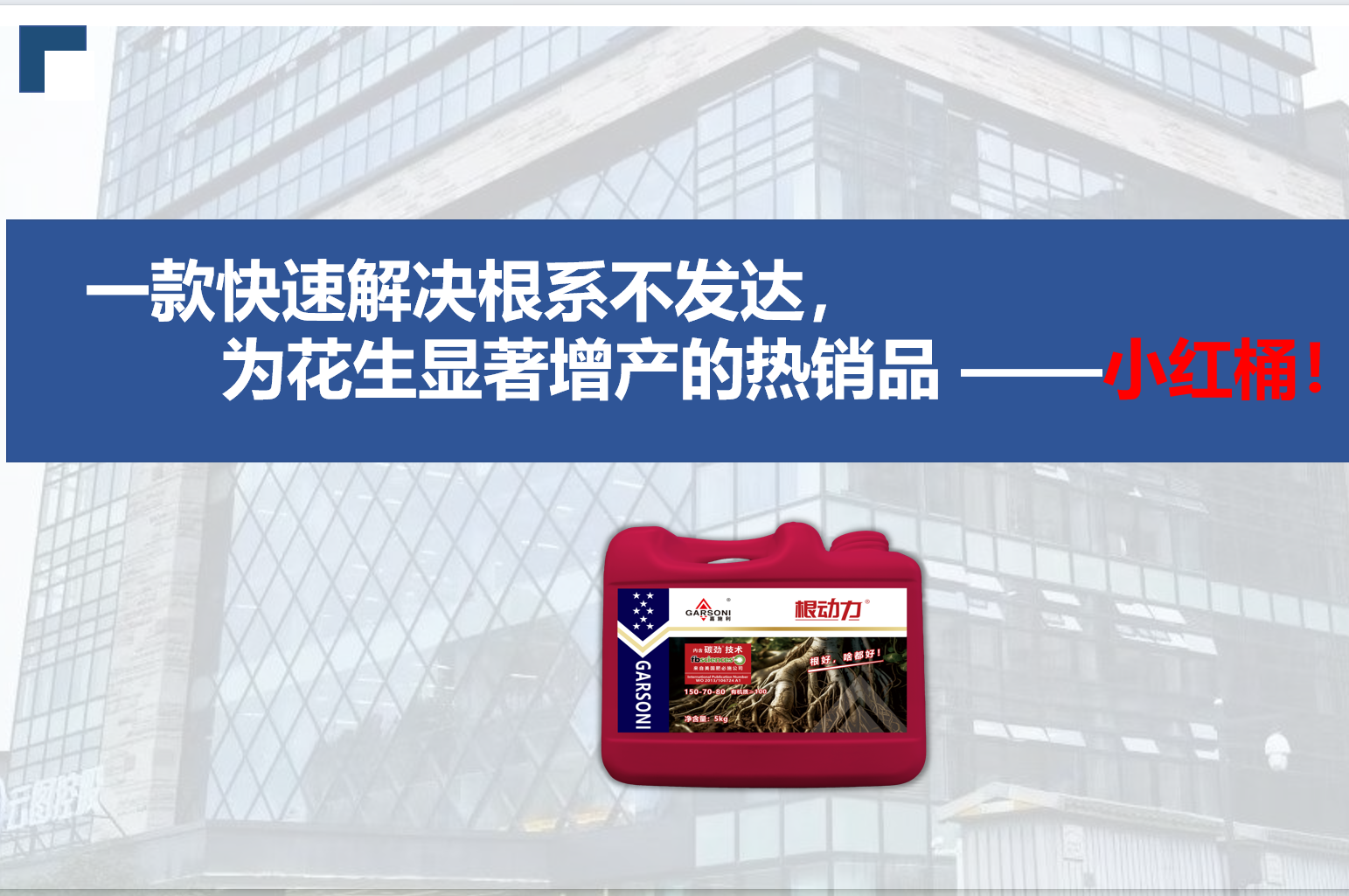 图片10.png