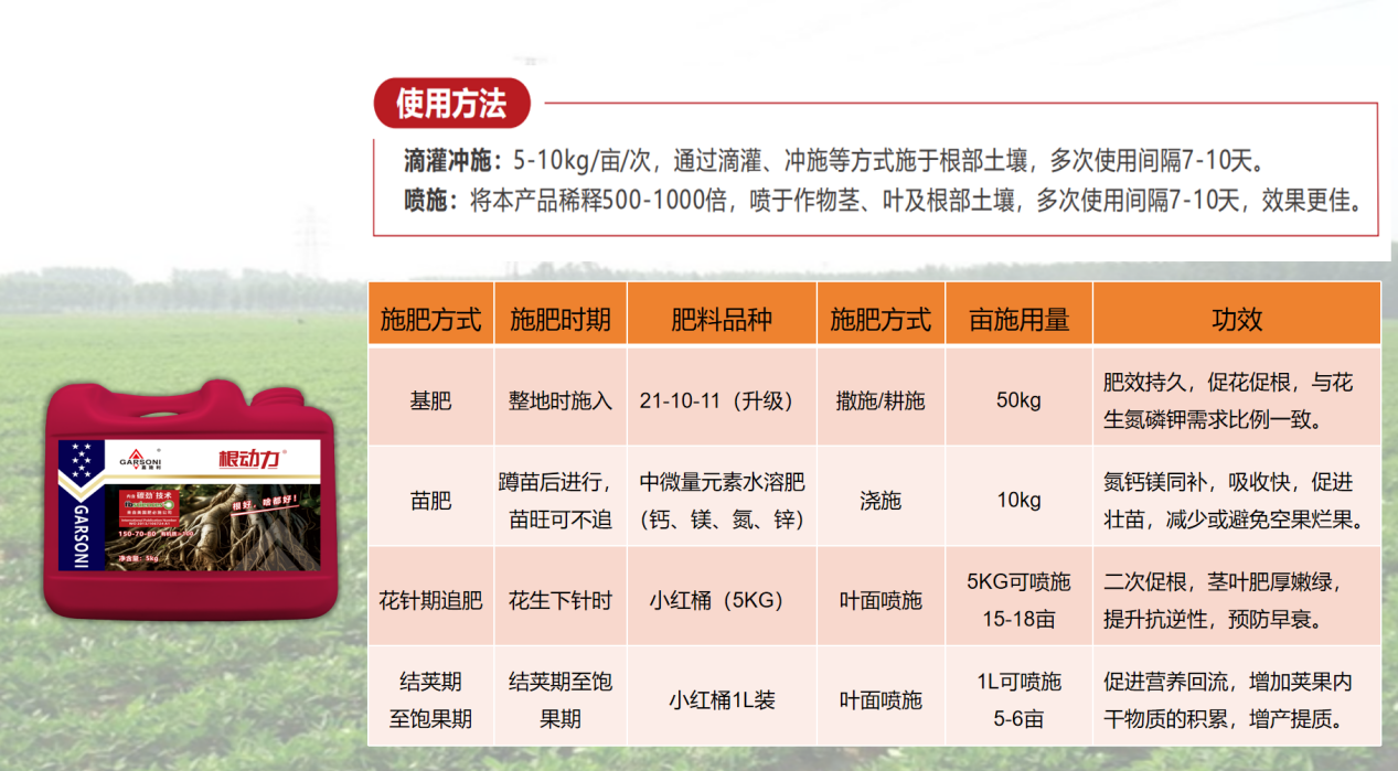 图片11.png