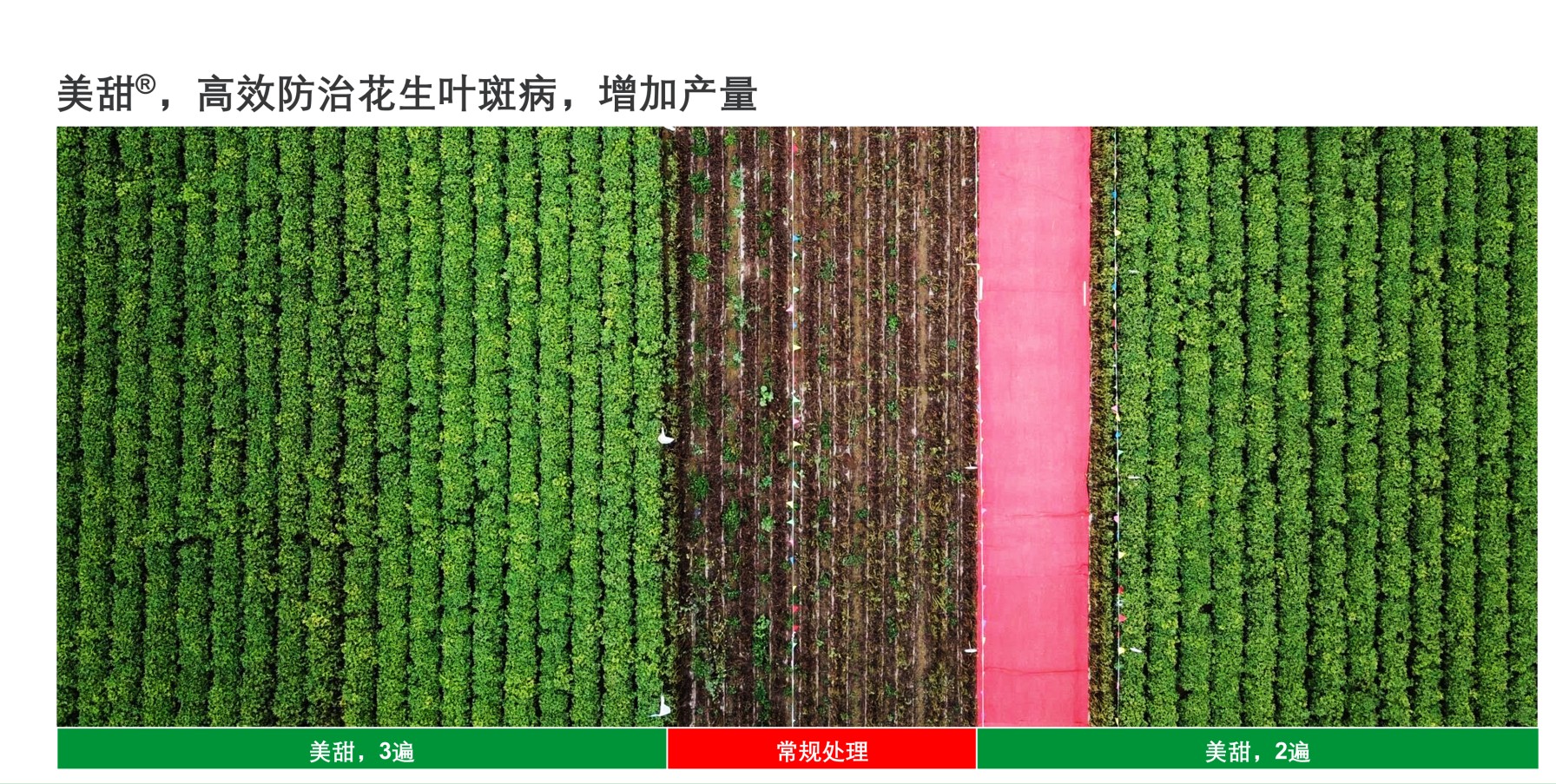 图片 11.jpg
