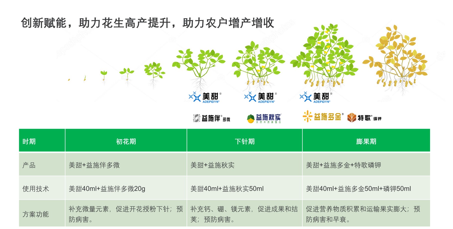 图片 12.jpg