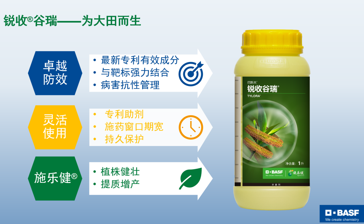 图片16.png