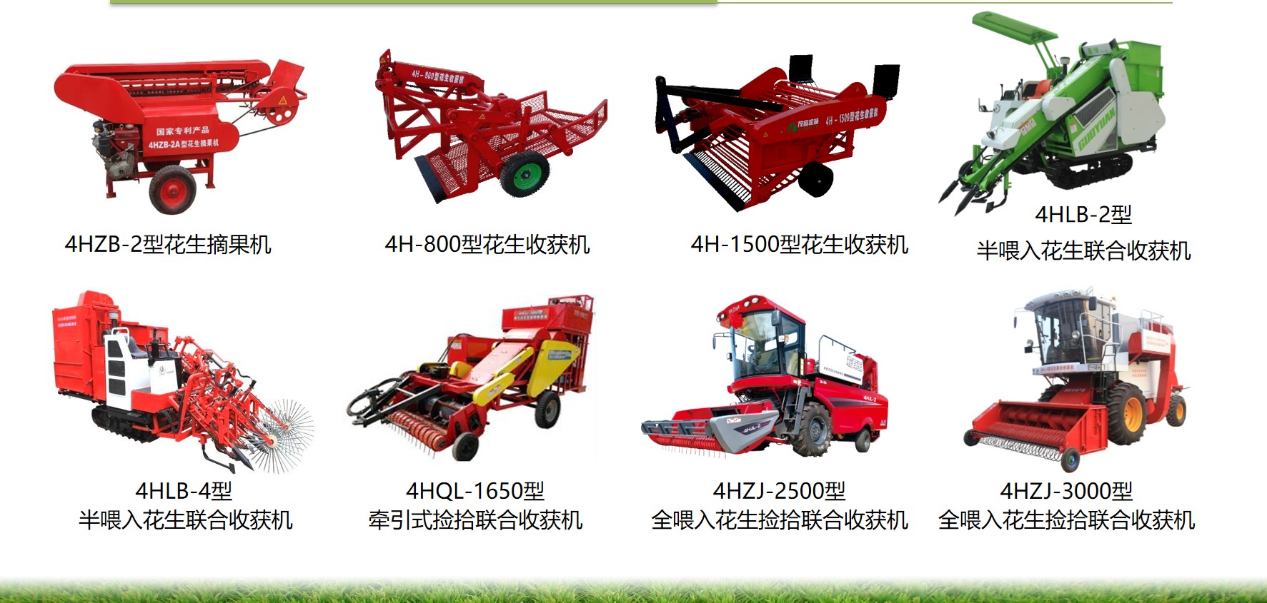图片 8.jpg