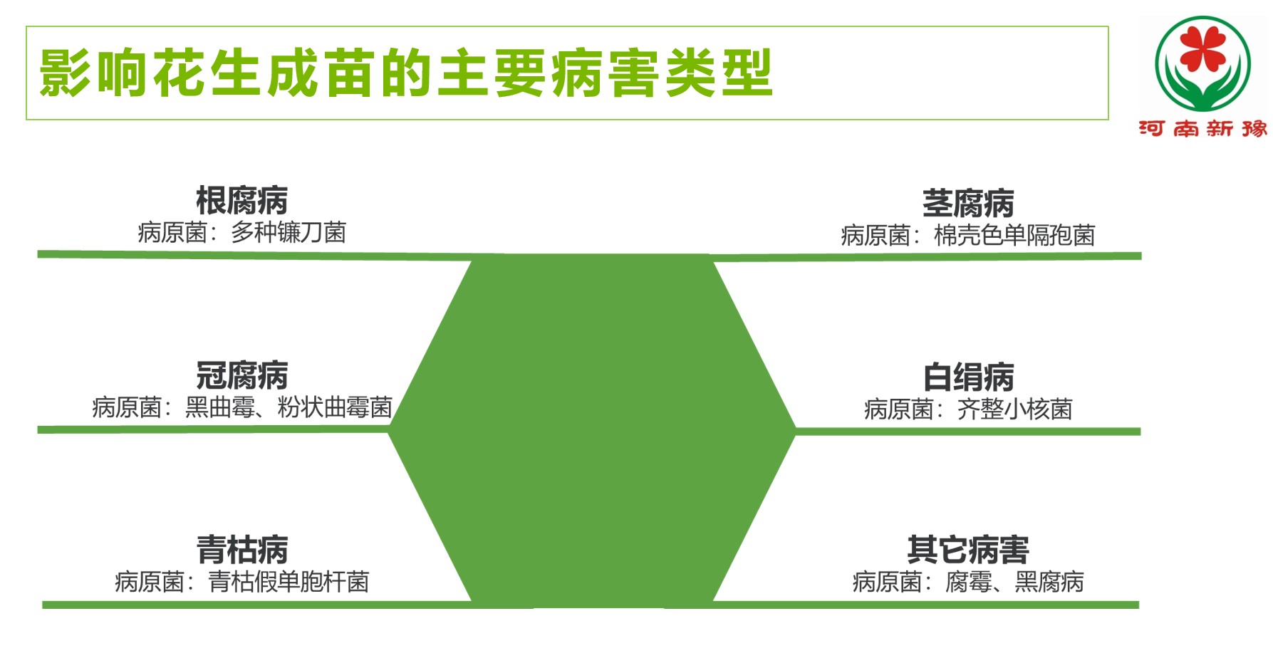 图片 3.jpg
