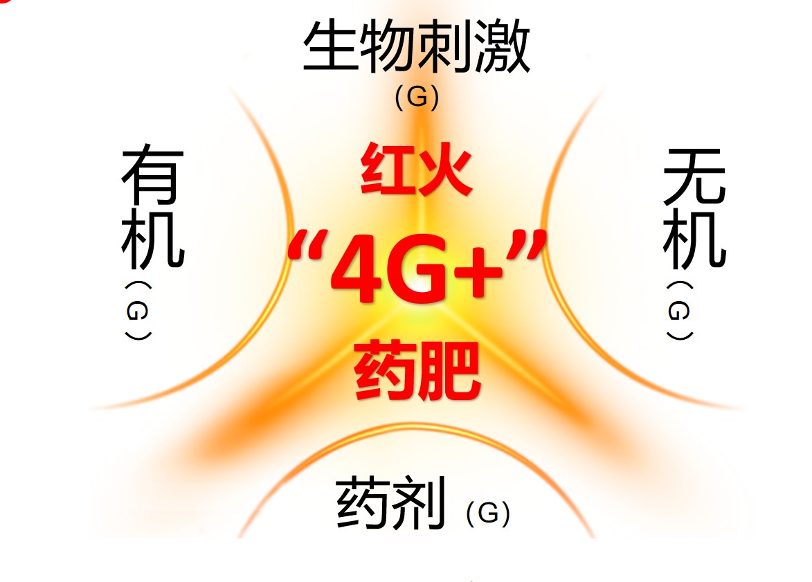 图片 3.jpg