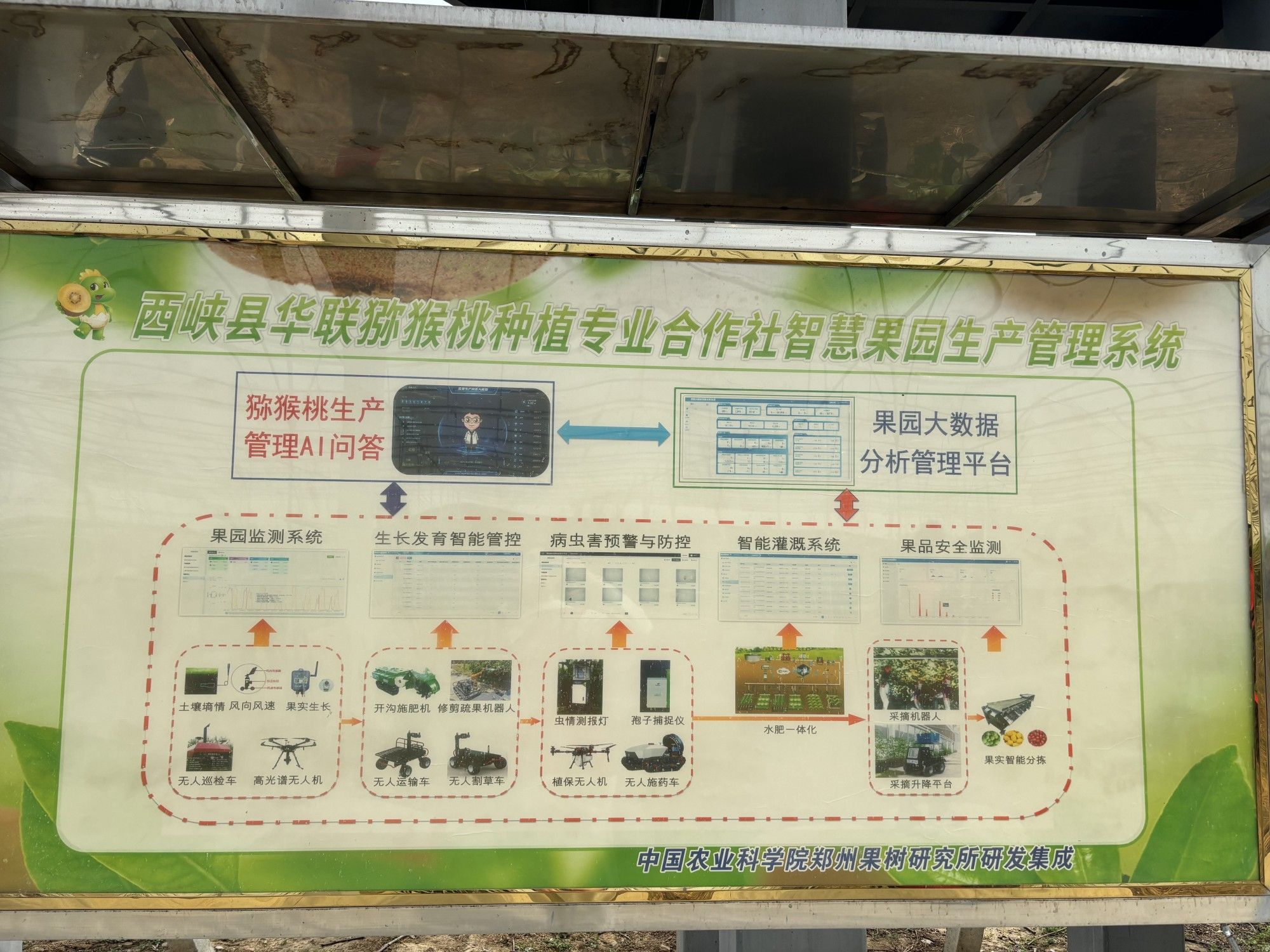 圖片 2.jpg
