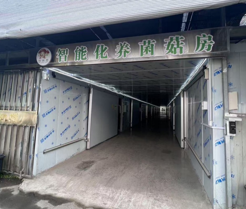 圖片 1.jpg