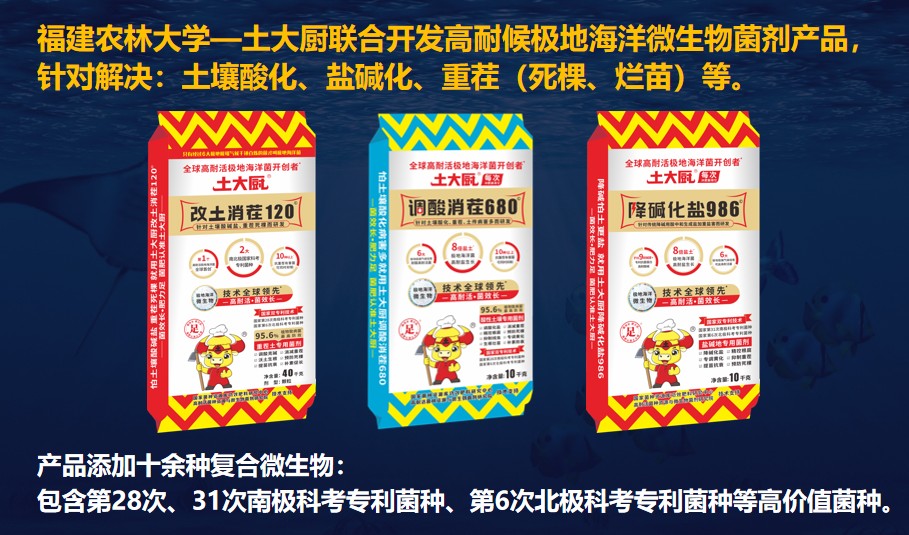 图片 3.jpg