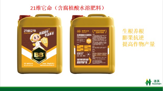 图片 3.jpg