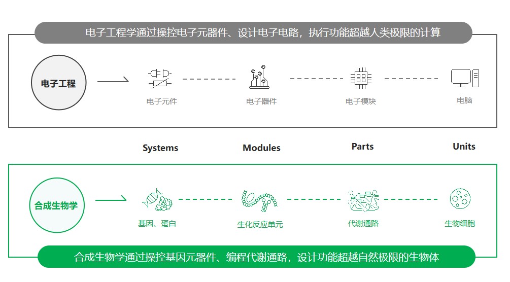 图片 4.jpg
