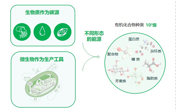 图片 5.jpg