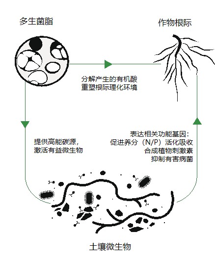 图片 6.jpg