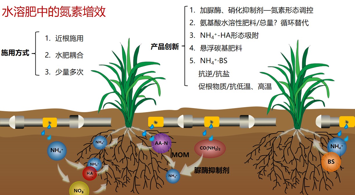 图片 5.jpg