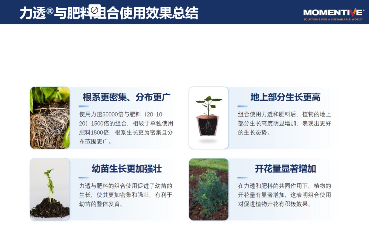 图片 2.jpg
