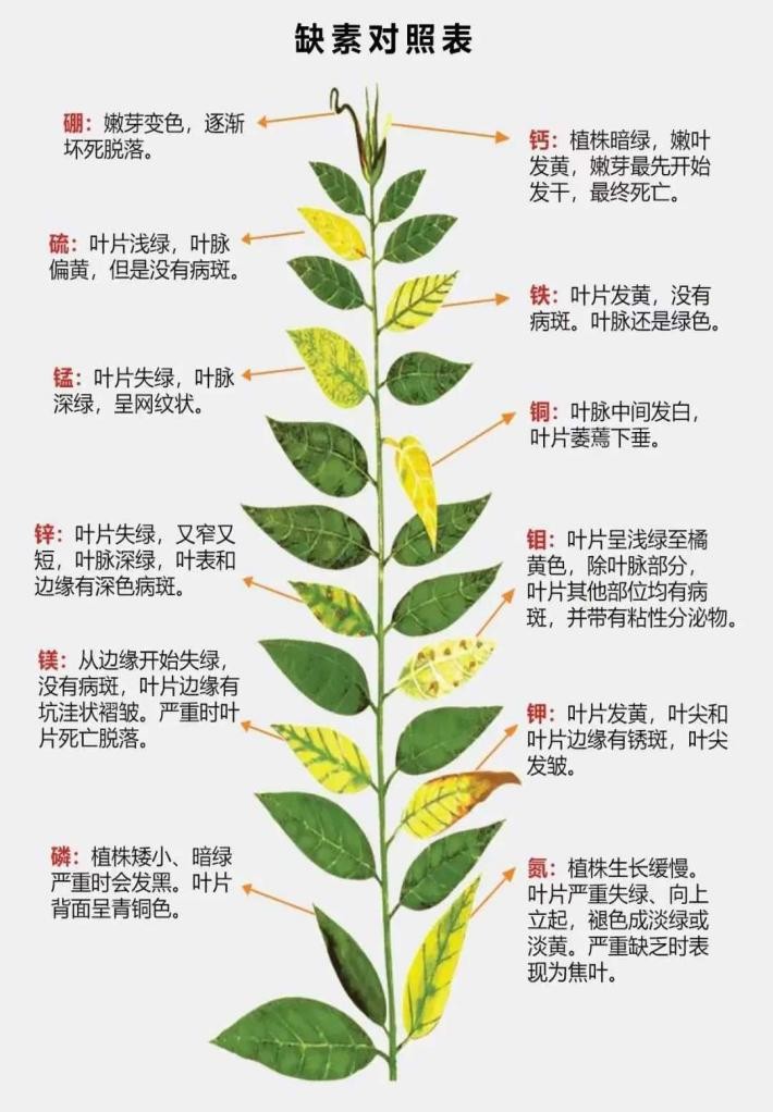 图片 2.jpg