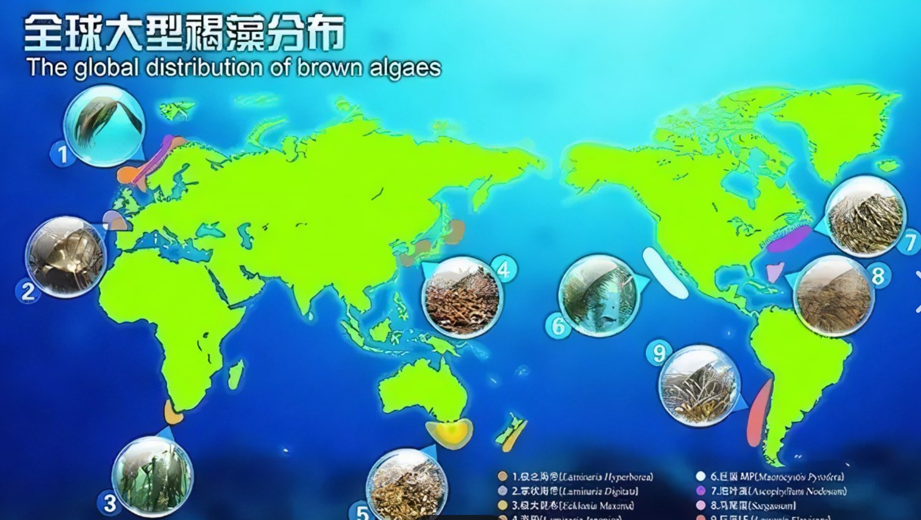 图片 2.jpg