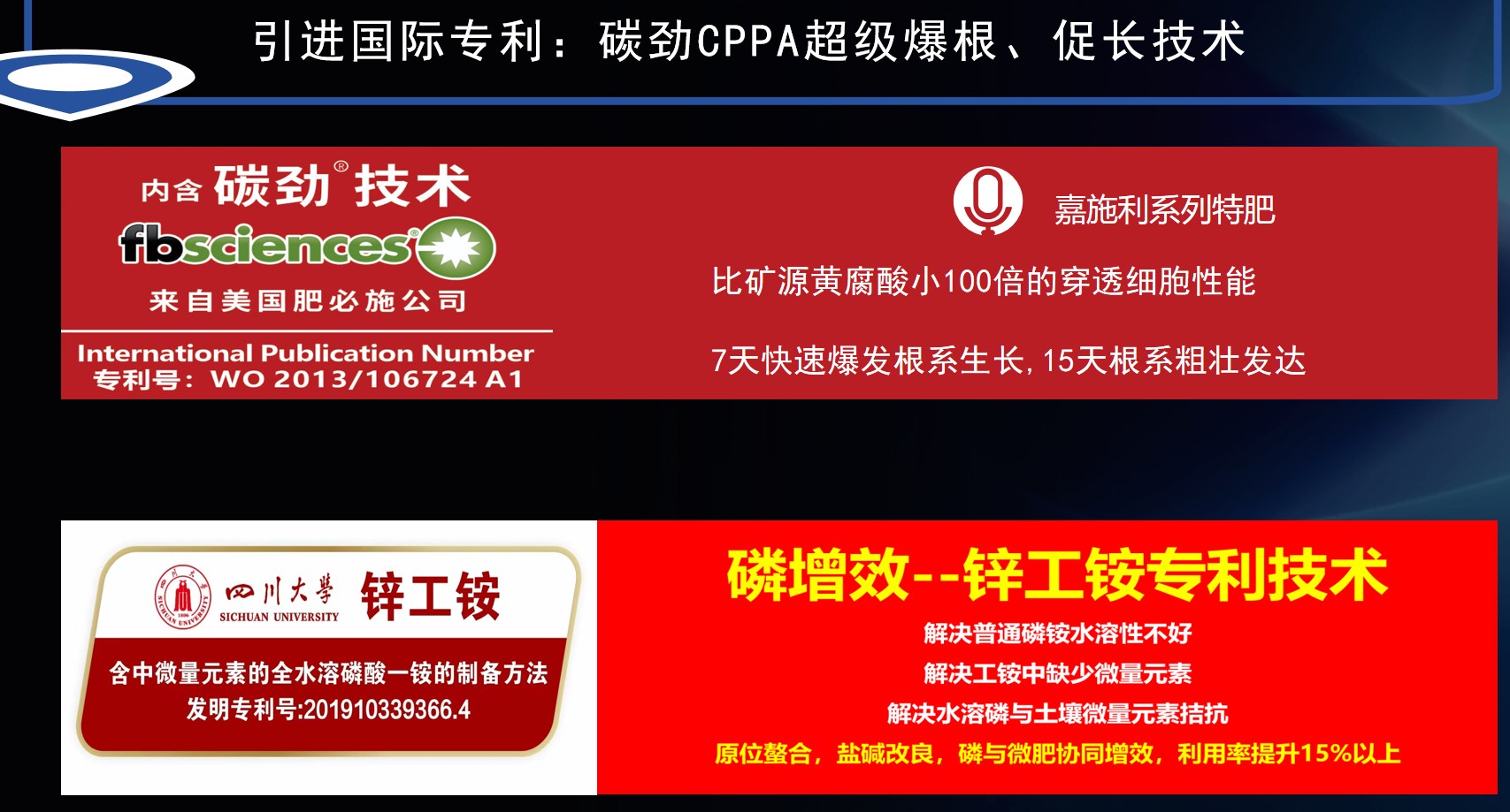 图片 2.jpg