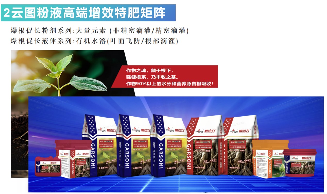 图片 3.jpg