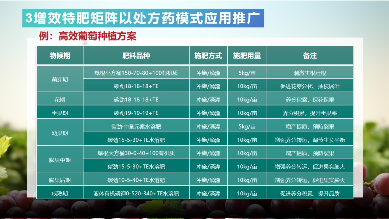 图片 4.jpg