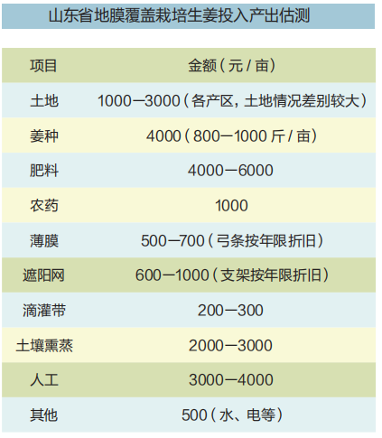 sj03.png