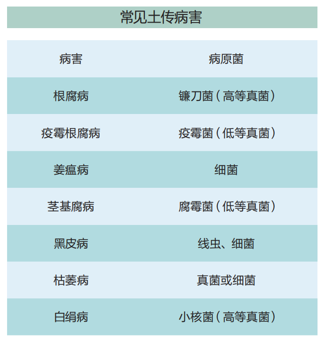 sj05.png