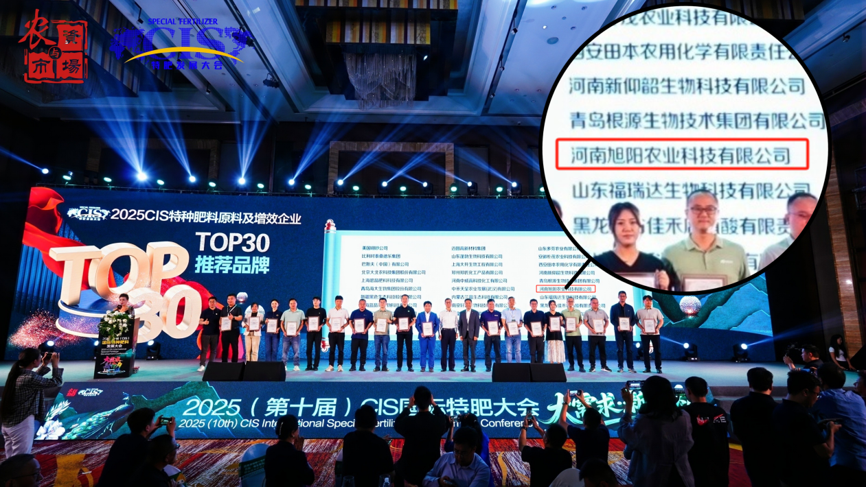 图片10.png