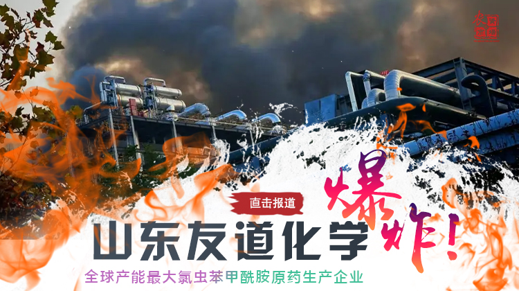 突发！山东友道化学车间爆炸