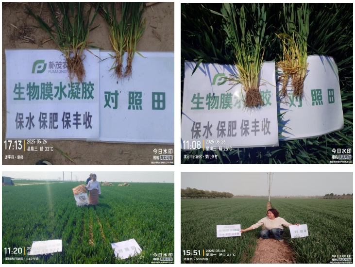微信截图_20250604091522.png
